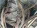 Bosch GBH 220 890000763125