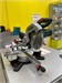 Торцовочная пила Metabo KGS 254 M 890000742909