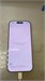 Apple iPhone 17 256 890000772819