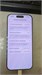 Apple iPhone 17 256 890000772819