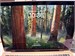 Apple MacBook Air (Retina, 13-inch, 2020) i5 512gb 890000774098