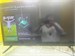 Игровая консоль Microsoft Xbox Series S 890000734482