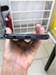 POCO M5s 128 ГБ 890000776290