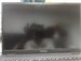 ASUS ExpertBook B1502CGA/Intel N200 890000778598