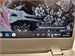 DEXP AQUILON C14-ICW300 Celeron n4020c 890000778035