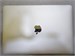 Apple Macbook Air M1 2020 8/256gb 890000780648