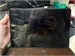 Планшет KENSHI H10 LTE 64 ГБ 890000587597 - фото 878043