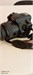 Фотоаппарат Sony Alpha SLT-A58 + Объектив Sony SAL-18552 DT 18-55 mm 890000587580 - фото 878491