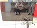 40" Телевизор Samsung UE40ES5557K 890000598313 - фото 887598