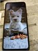 XIAOMI REDMI 9C NFC 2/32 ГБ 890000597263 - фото 888542