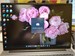 НОУТБУК HUAWEI MATEBOOK D16 i5 12450H 890000586677 - фото 895105