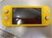 Портативная консоль Nintendo Switch Lite HDH-001 890000603478 - фото 899399