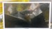 24" Телевизор Hartens HTY-24H06W 890000603599 - фото 900159