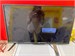 Телевизор POLAR 32LTV2002 890000604803 - фото 901118