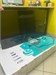 43" (108 см) LED-телевизор DEXP U43H8100E 890000594118 - фото 905642