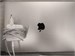 Ноутбук Apple MacBook Air 13 (2020, M1) 8/256 ГБ 890000609813 - фото 911594