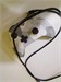 Игровая приставка Microsoft XBOX One S 890000590605 - фото 916886