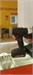 Аккумуляторная дрель-шуруповерт Metabo BS 18 L 890000621371 - фото 926747