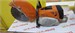 Резчик Stihl TS 800 890000609314 - фото 928942