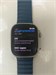Часы Apple Watch Ultra 2 49 (A2986) 890000598914