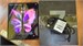 Samsung Galaxy Z Fold3 12/256 ГБ 890000625783 - фото 935061