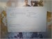 Ультрабук HONOR MagicBook 15 Boh-WAQ9HNR (Ryzen 5 3500U) 890000636249 - фото 949624