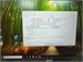 Ноутбук Acer Extensa i3-N305 890000638495 - фото 952192