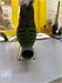 ЭЛЕКТРИЧЕСКИЙ ЛОБЗИК BOSCH PST 650 890000641082 - фото 953748